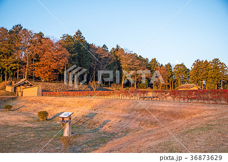鉢形城跡　三の曲輪跡　鉢形城公園　 36873629