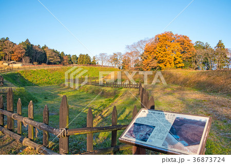 鉢形城跡 鉢形城公園 鉢形城跡 鉢形城公園 36873724