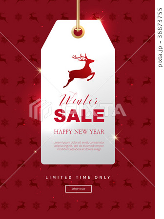 冬 新年 クリスマス 36873755