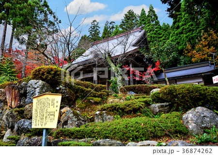 石道寺紅葉 36874262