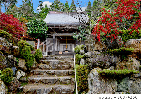 石道寺紅葉 36874266