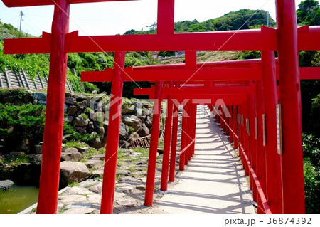 山口県下関市にある元乃隅稲成神社。 山口県下関市にある元乃隅稲成神社。 36874392