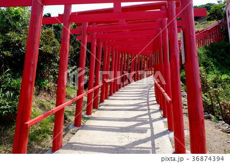 山口県下関市にある元乃隅稲成神社。 山口県下関市にある元乃隅稲成神社。 36874394