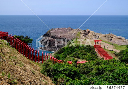 山口県下関市にある元乃隅稲成神社。 36874427