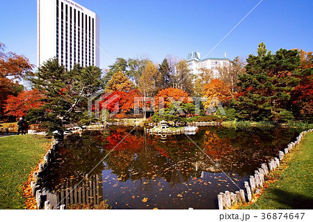 晩秋の輝き 36874647