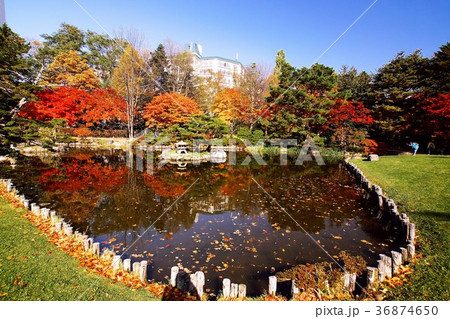 晩秋の輝き 36874650