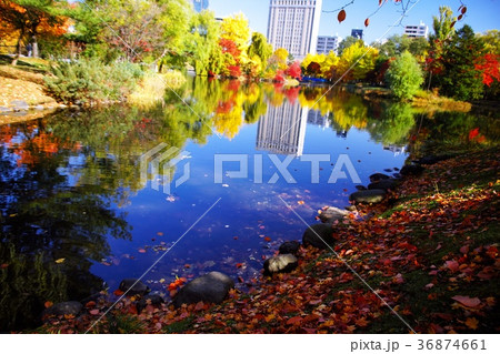 晩秋の輝き 36874661