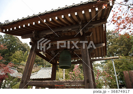 常楽寺紅葉2017 常楽寺紅葉2017 36874917