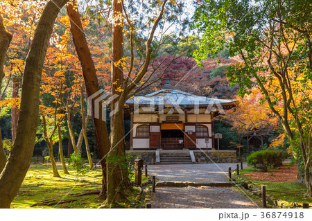 秋の地蔵院 秋の地蔵院 36874918