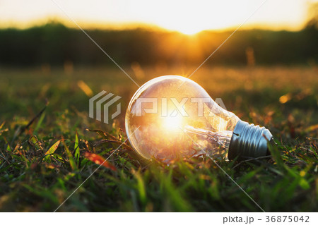 concept idea of power energy with light bulb concept idea of power energy with light bulb 36875042