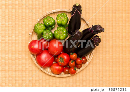 夏野菜　盛合せ（家庭菜園） 36875251