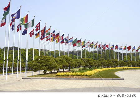 万国旗 国旗 オリンピック公園 36875330