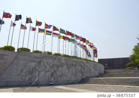 万国旗 国旗 オリンピック公園 36875337