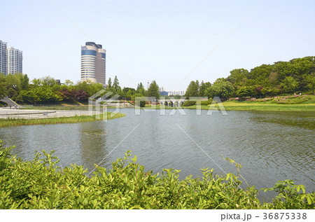 韓国 屋外 室外 36875338