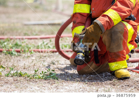 firefighter standby with fire hose firefighter standby with fire hose 36875959