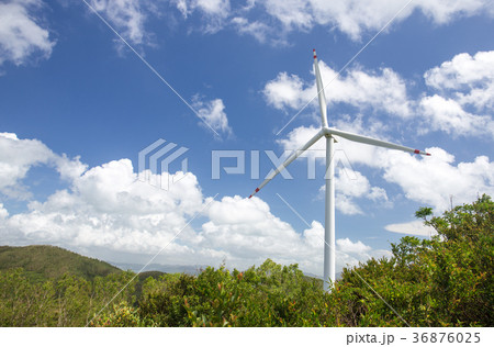 wind turbine system  at Lamma island, Hong Kong 36876025