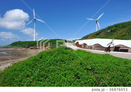 台湾 ポンフー 澎湖諸島 36876053