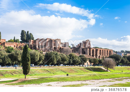 ローマ　古代競技場跡とパラティーノの丘 36876578
