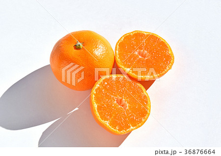 山北みかん 36876664