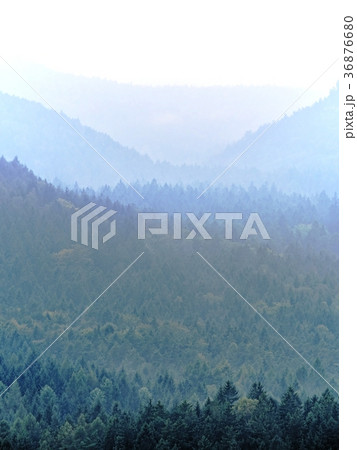 Forest hill hidden im thick mist. Misty landscape 36876680