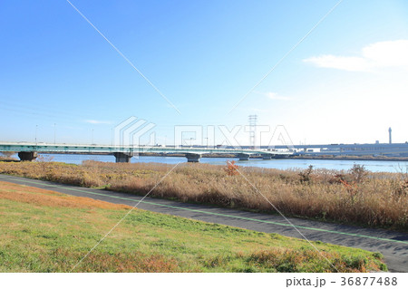 荒川河川敷と荒川 荒川河川敷と荒川 36877488