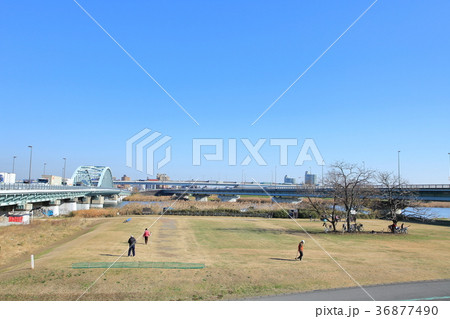 荒川河川敷と荒川 江東区 荒川河川敷と荒川 江東区 36877490