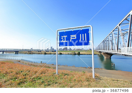 国府台駅近くから見た江戸川 国府台駅近くから見た江戸川 36877496
