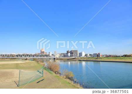 市川橋から見た江戸川 市川橋から見た江戸川 36877501