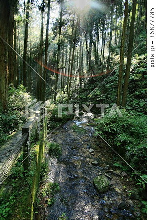 毛呂山の宿谷川・宿谷の滝 毛呂山の宿谷川・宿谷の滝 36877785