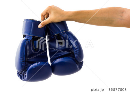 Hand holding boxing mitts isolated on white. 36877803