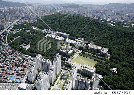 高層ビル 道路 ビル 36877917