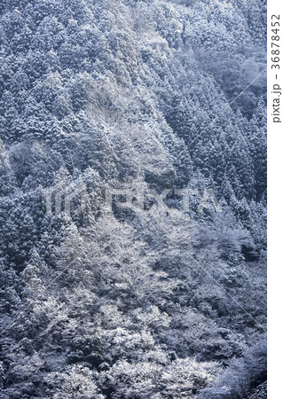 雪日-10、降雪の翌朝山襞に朝日が当たる冬景色 36878452