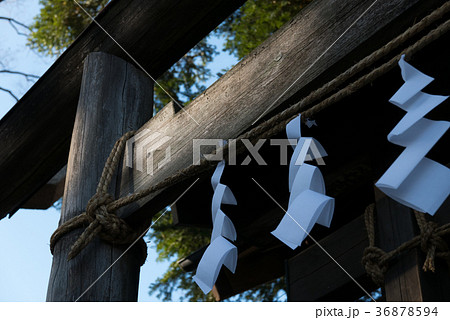 木漏れ日差す古い鳥居と真新しいしめ縄　師走の小さな神社の正月仕度 36878594