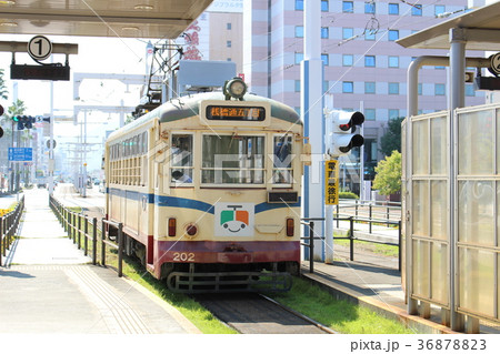 高知駅前のとでん　土佐電鉄　高知県 36878823