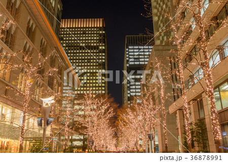 東京　丸の内　中通り　ライトアップ 36878991