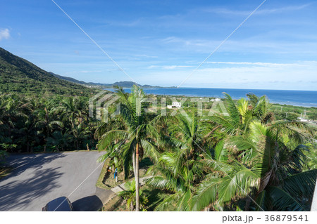 サタケ八重山ヤシ記念館から見る風景 36879541