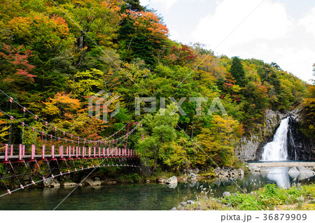 法体の滝 秋田県 法体の滝 秋田県 36879909