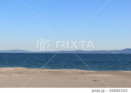 冬の三浦海岸 36880102