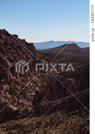 ロサンゼルス 36880734