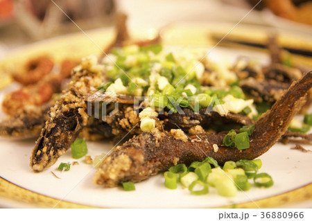 魚介類 シーフード 海の幸 36880966