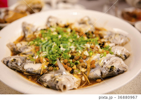 魚介類 シーフード 海の幸 36880967