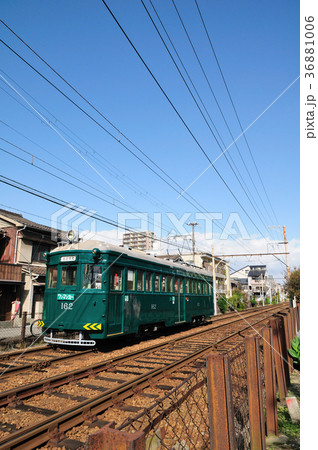 阪堺電車の古豪モ162形電車 36881006