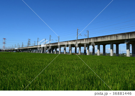 高架橋 高架橋 36881446