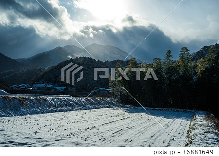 降雪後の田んぼ（奥出雲町　2017年） 36881649