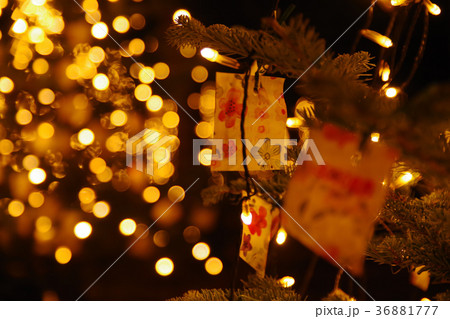 備北丘陵公園イルミネーション(2017年) 備北丘陵公園イルミネーション(2017年) 36881777