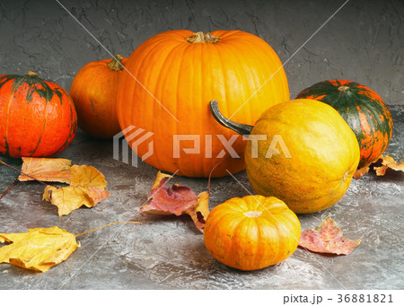 Autumn orange pumpkins and yellow fallen leaves Autumn orange pumpkins and yellow fallen leaves 36881821