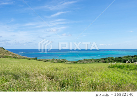石垣島・平久保の風景 36882340