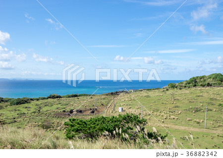 石垣島・平久保の風景 36882342