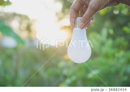 Hand of person holding light bulb for idea 36882434