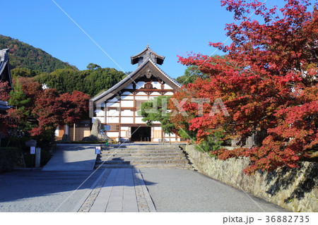 京都　秋の天龍寺 36882735